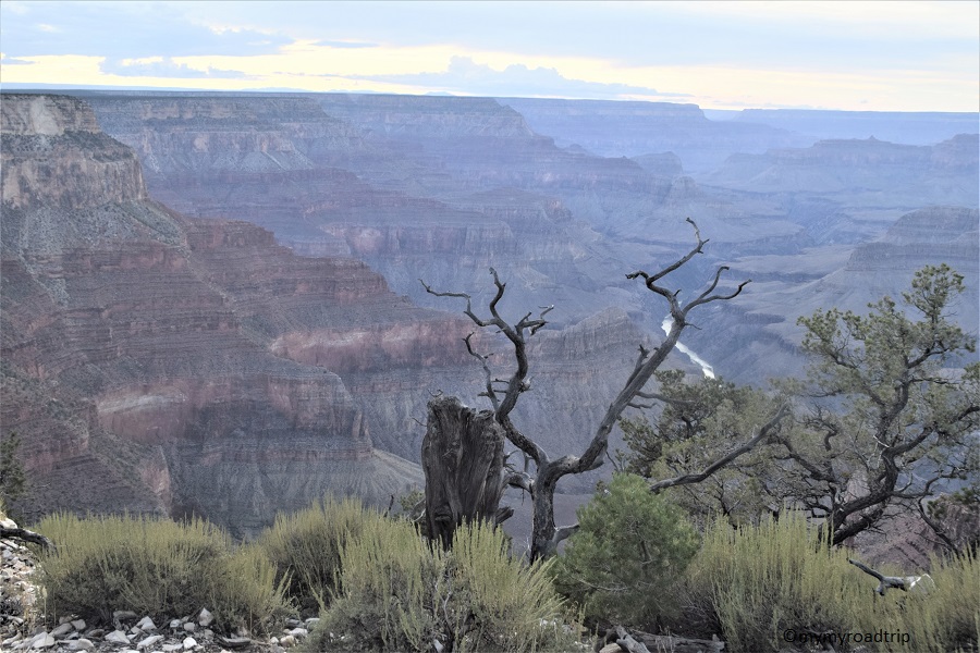 Grand Canyon rive sud 